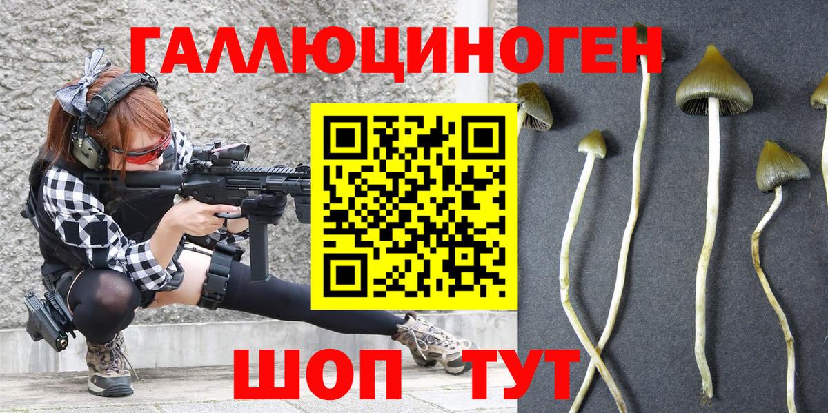 дарнет шоп  Галлюциногенные грибы Psilocybe  Вход с VPN  Ачхой-Мартан 
